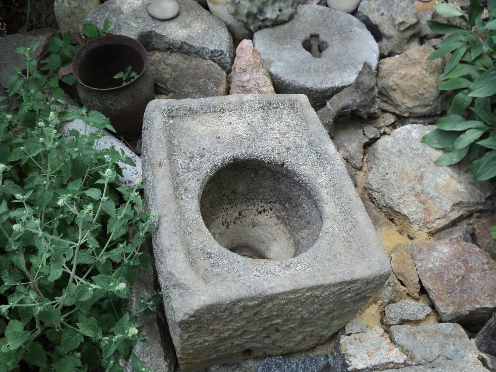 DSC06519.JPG