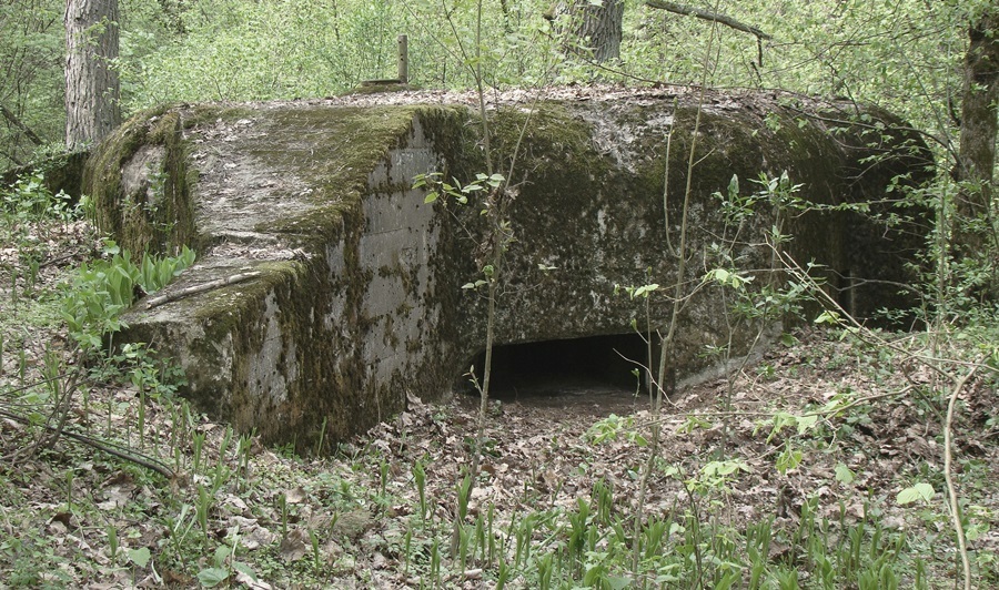 DSC06664.JPG