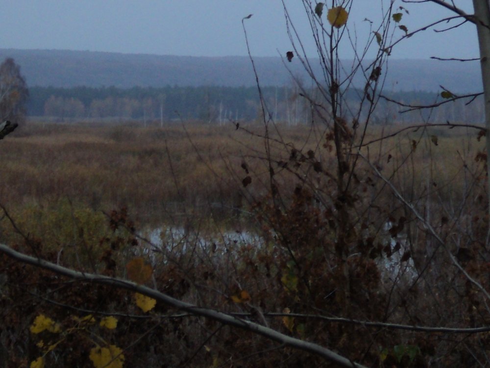 DSC06702.JPG