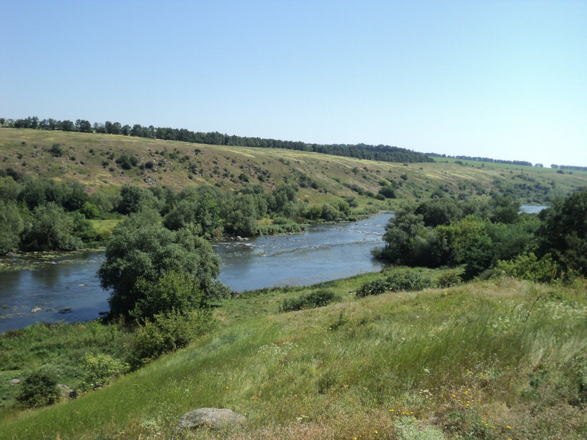 DSC08270.JPG