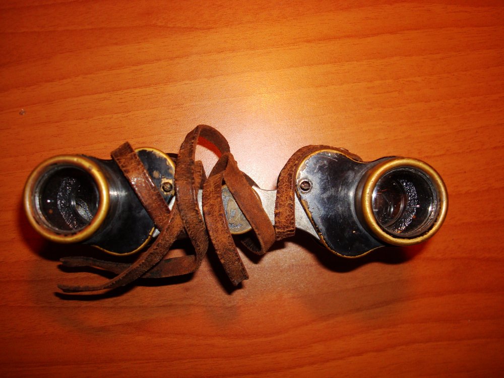 DSC08315.JPG