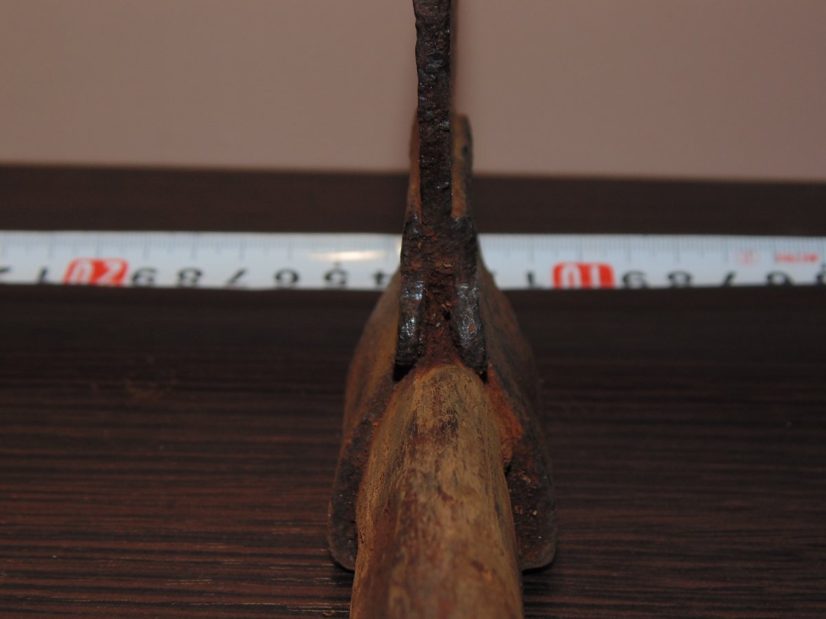 DSC08329.JPG