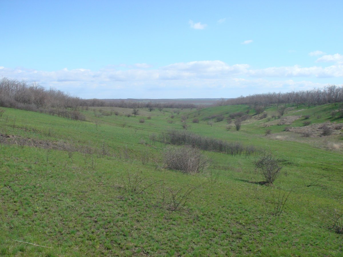DSC08339.JPG