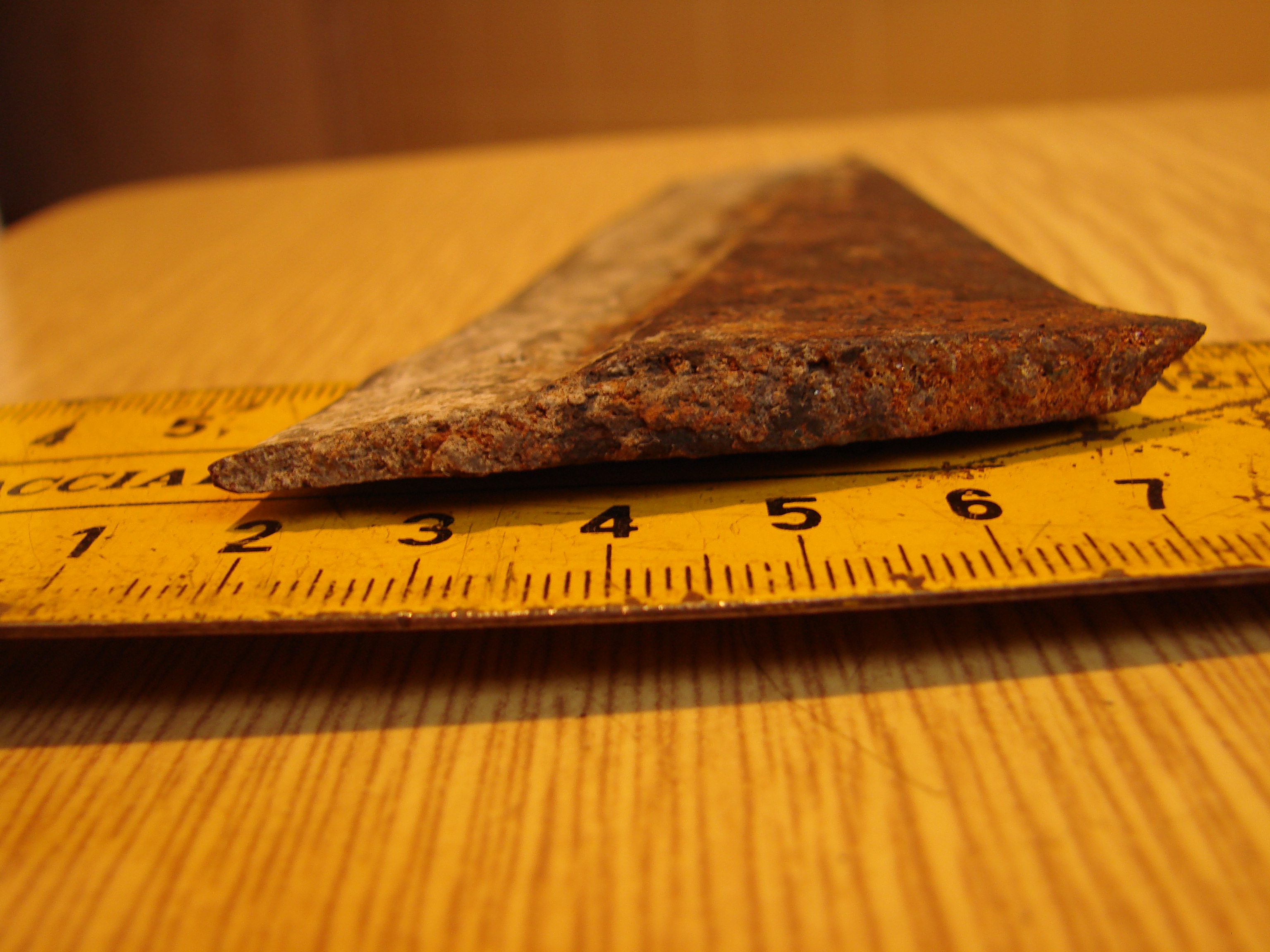 DSC08346.JPG