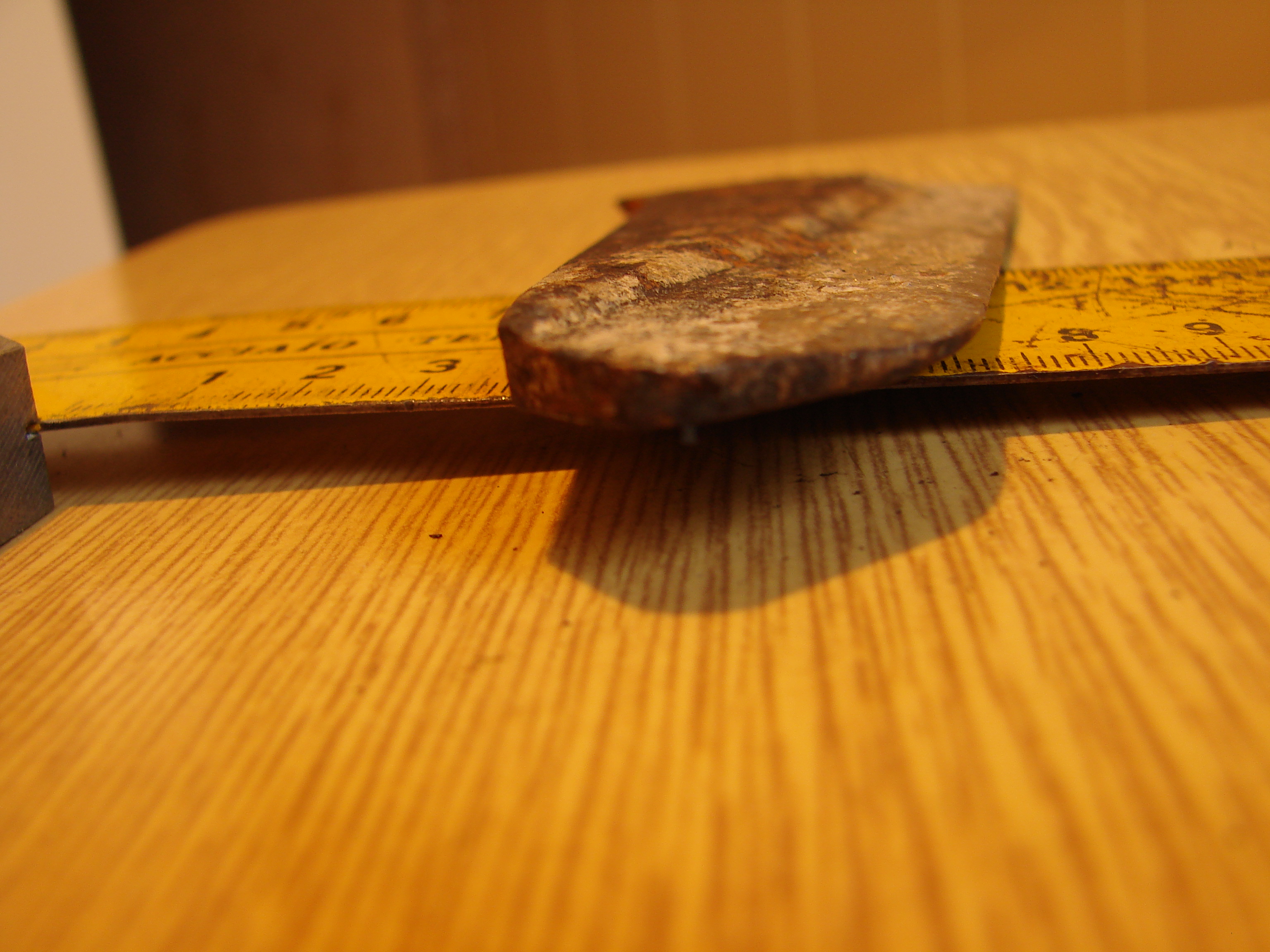 DSC08349.JPG