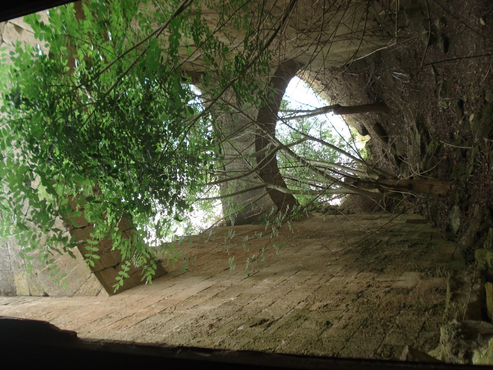 DSC08370.JPG