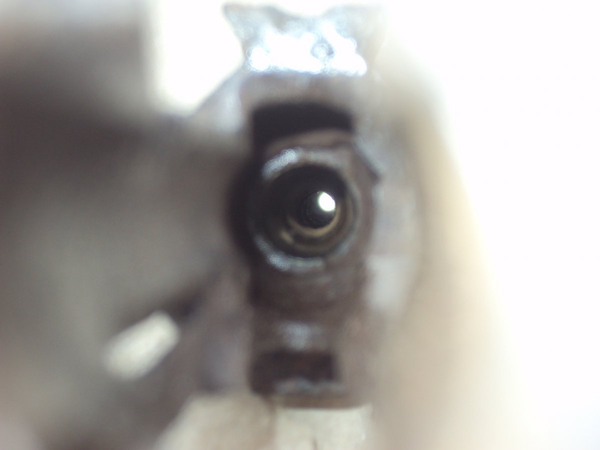 DSC08406.JPG