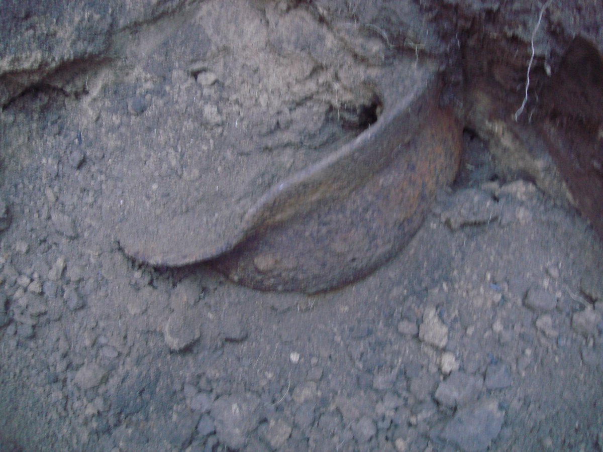 DSC08535.JPG