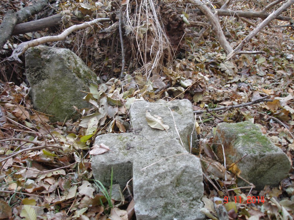 DSC08546.JPG