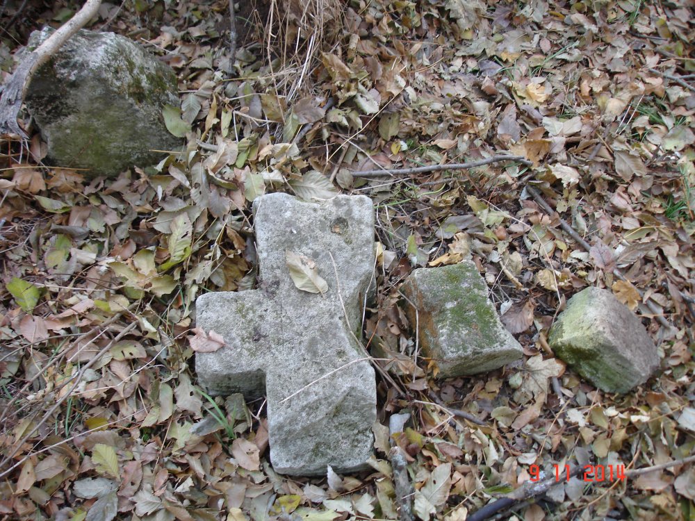 DSC08547.JPG