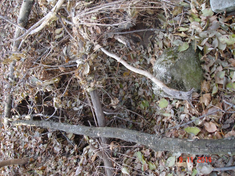 DSC08548.JPG