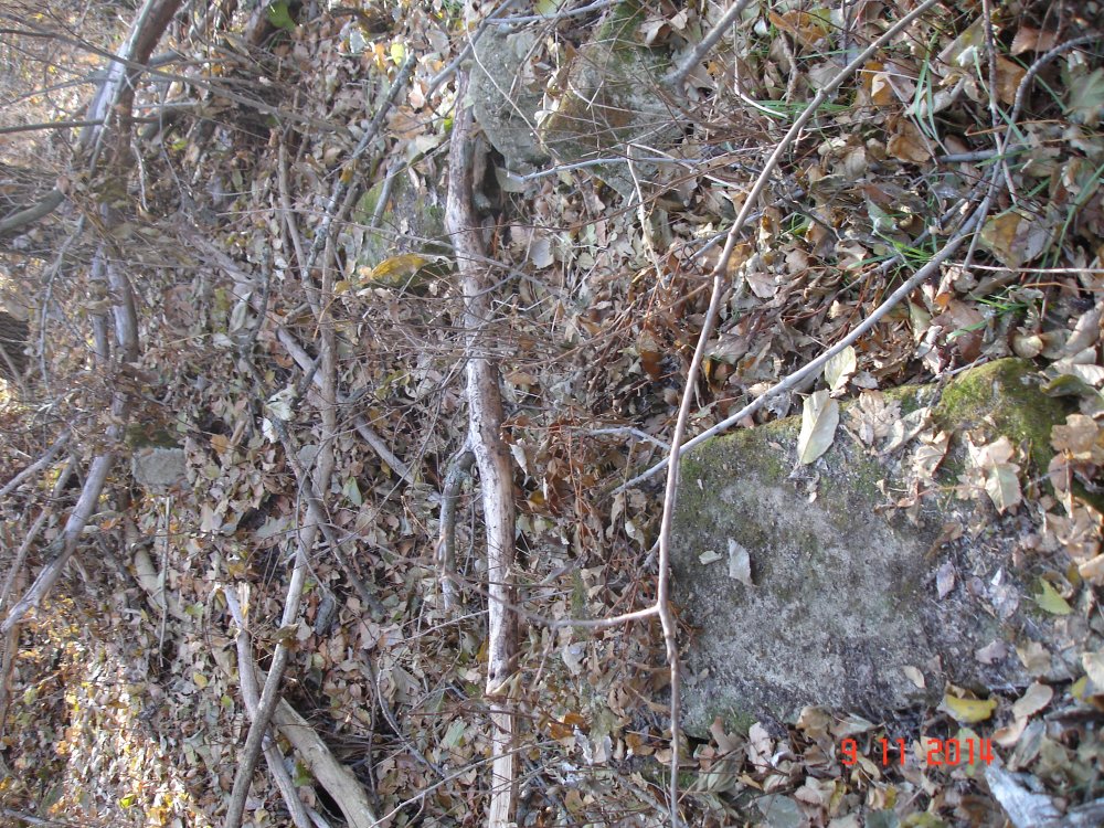 DSC08549.JPG