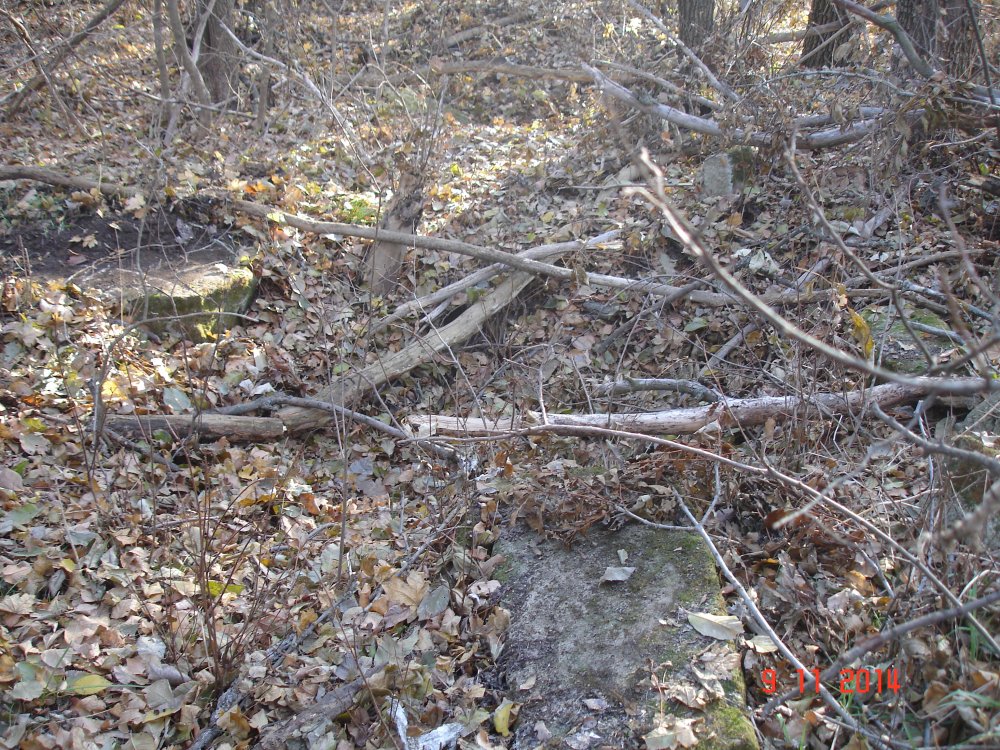 DSC08550.JPG