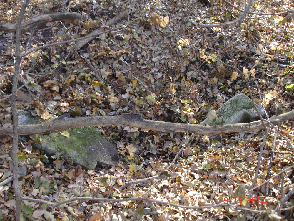 DSC08551.JPG
