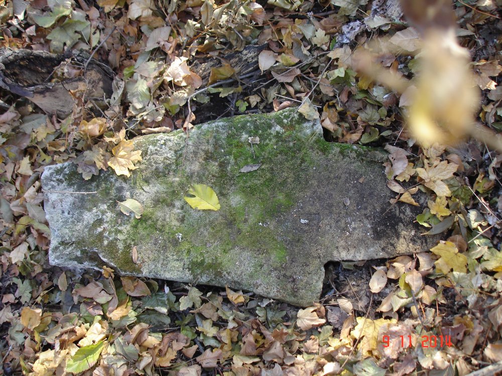 DSC08552.JPG