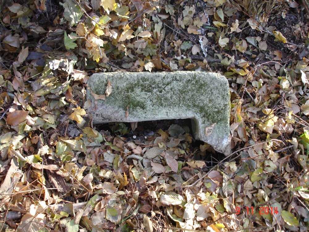 DSC08553.JPG