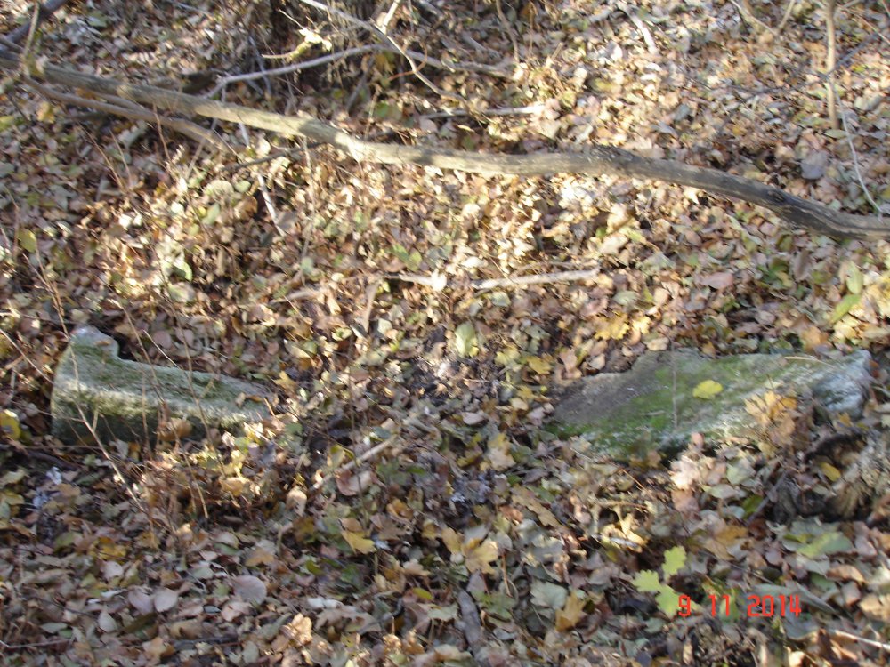 DSC08554.JPG