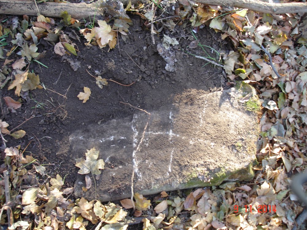 DSC08555.JPG