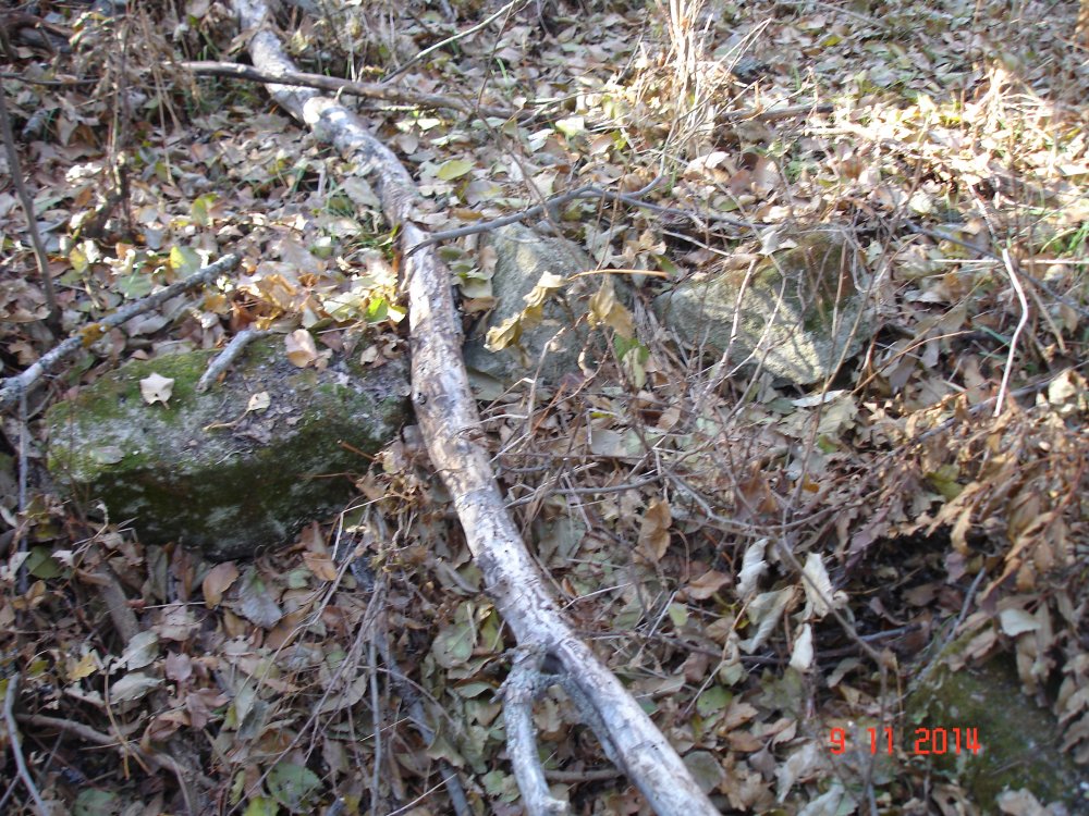 DSC08556.JPG