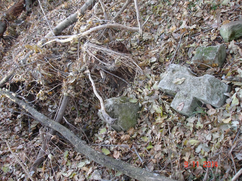 DSC08557.JPG
