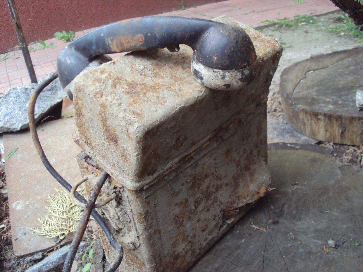 DSC08562.JPG