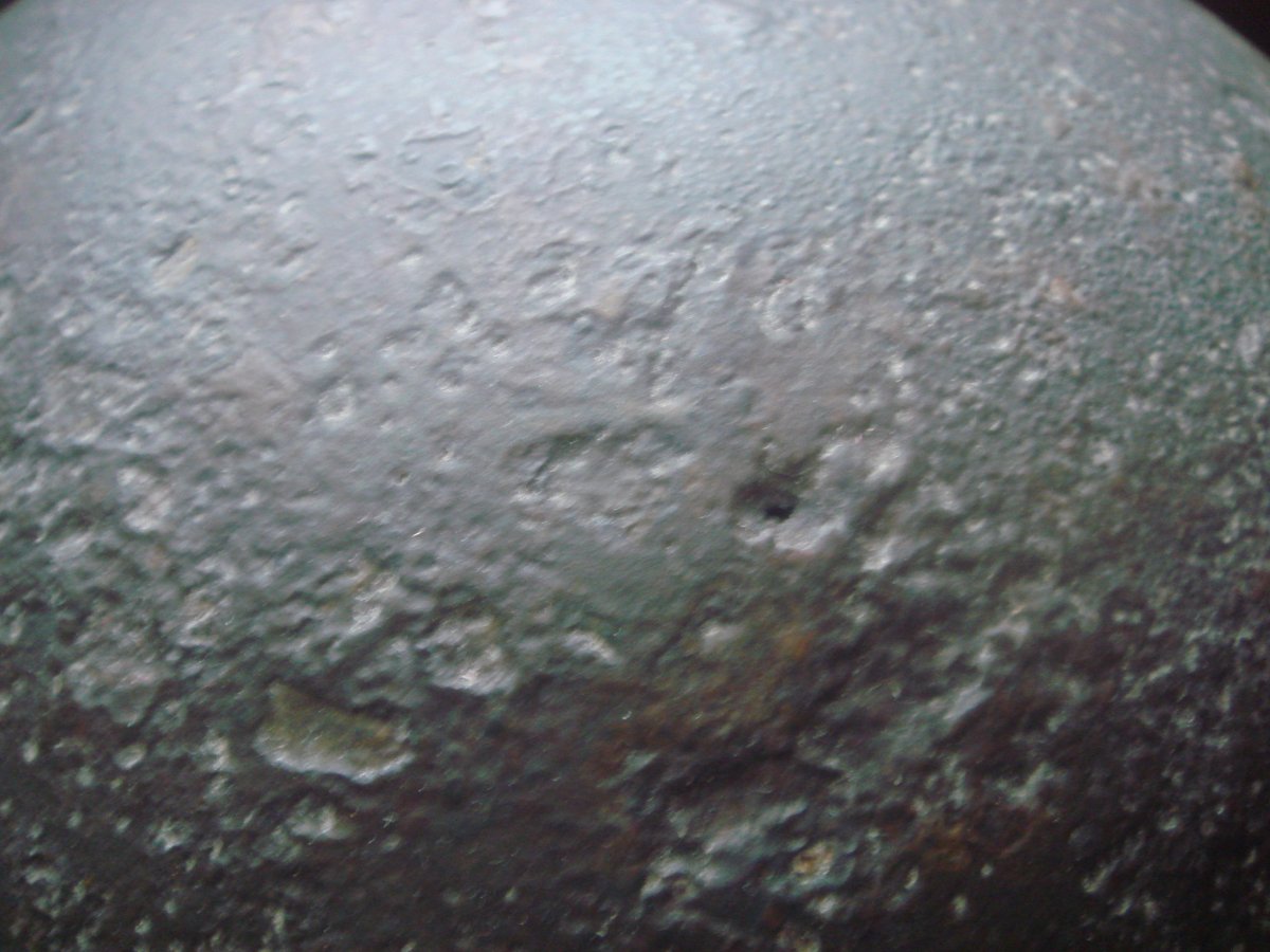 DSC08563.JPG