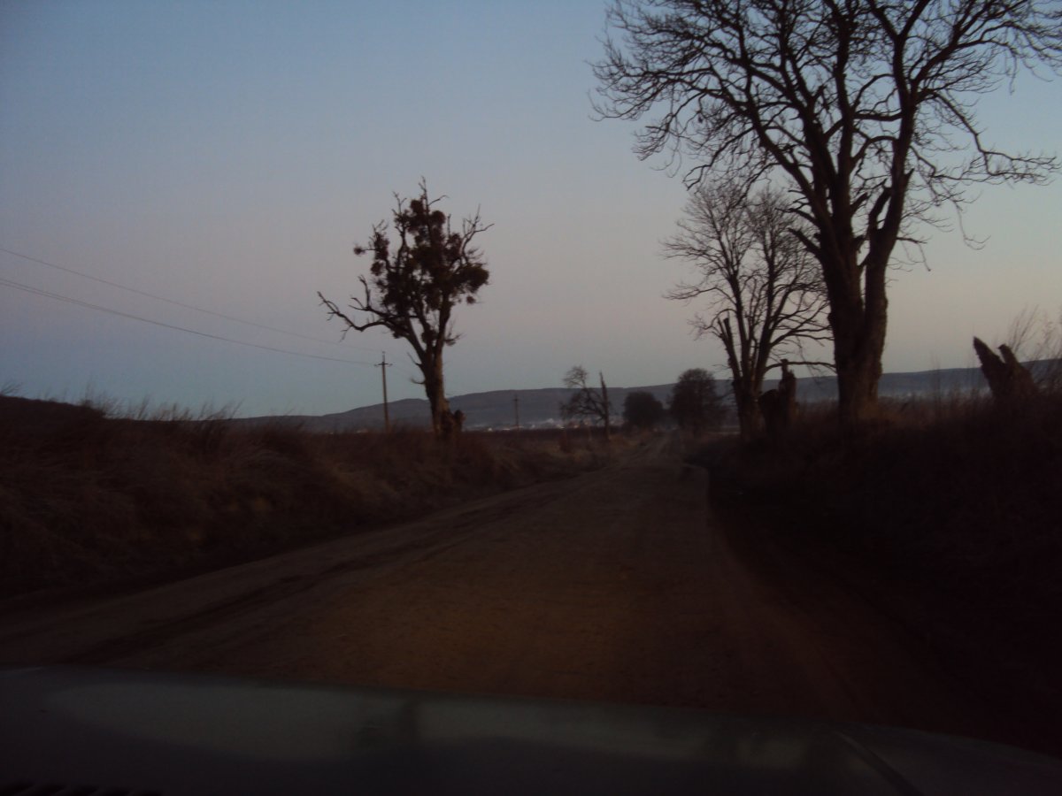 DSC08680.JPG