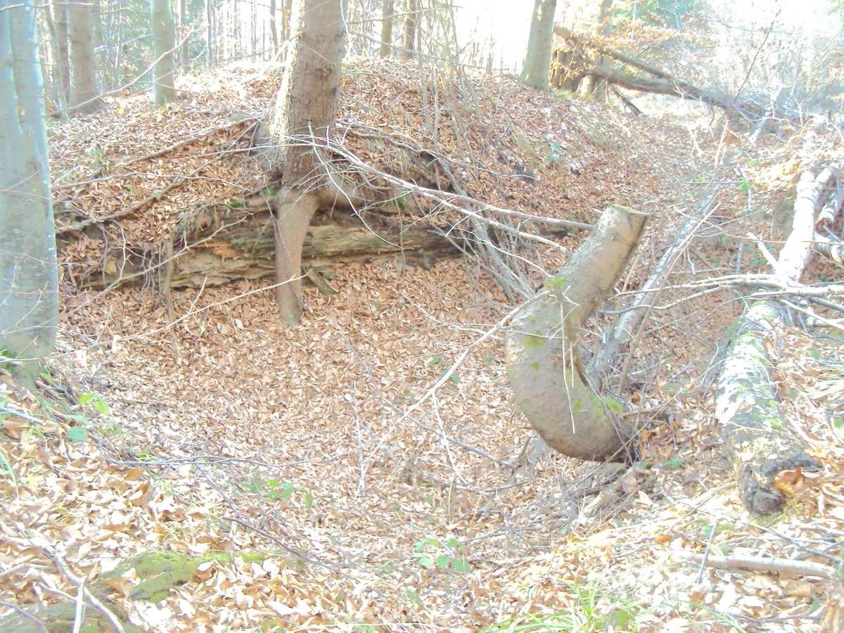 DSC08746.JPG