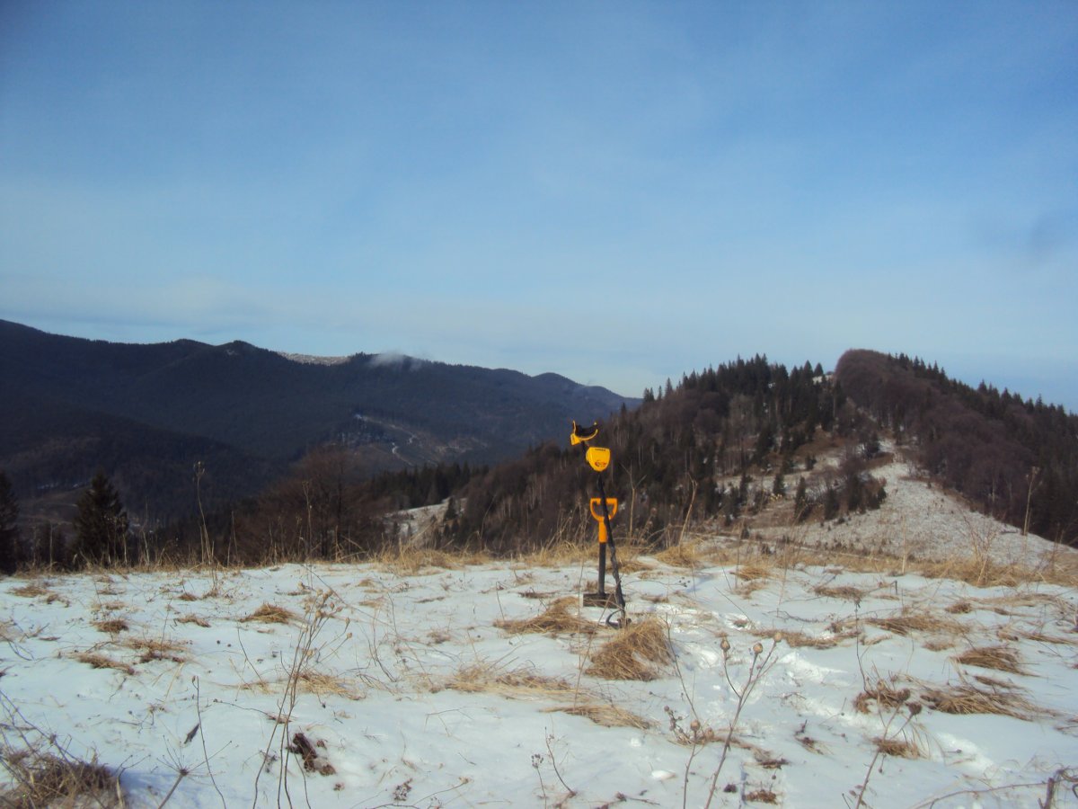 DSC09182.JPG