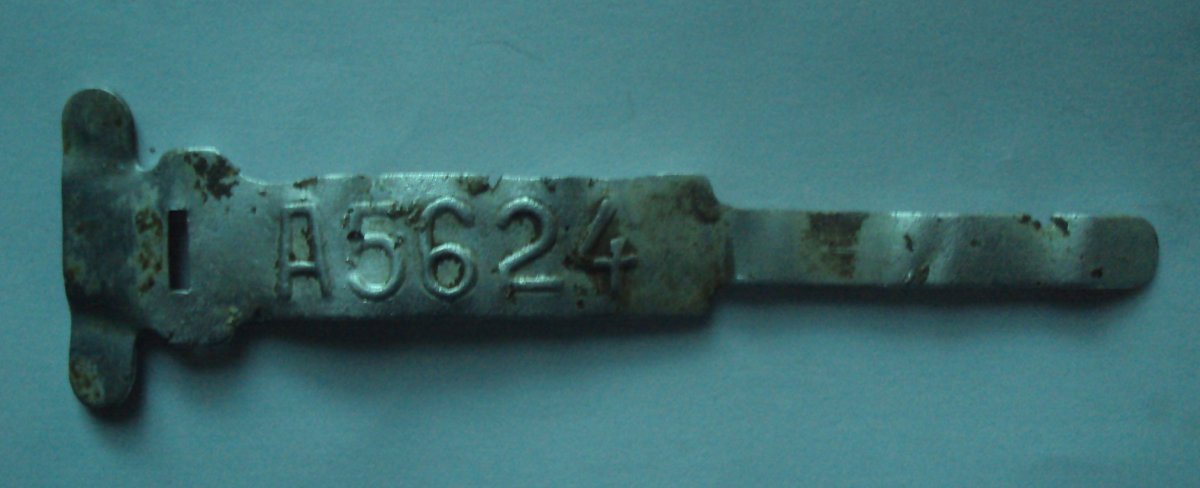 DSC09345.JPG