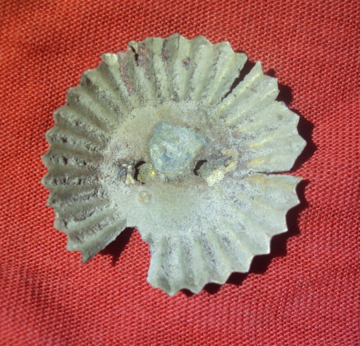 DSC09466.JPG