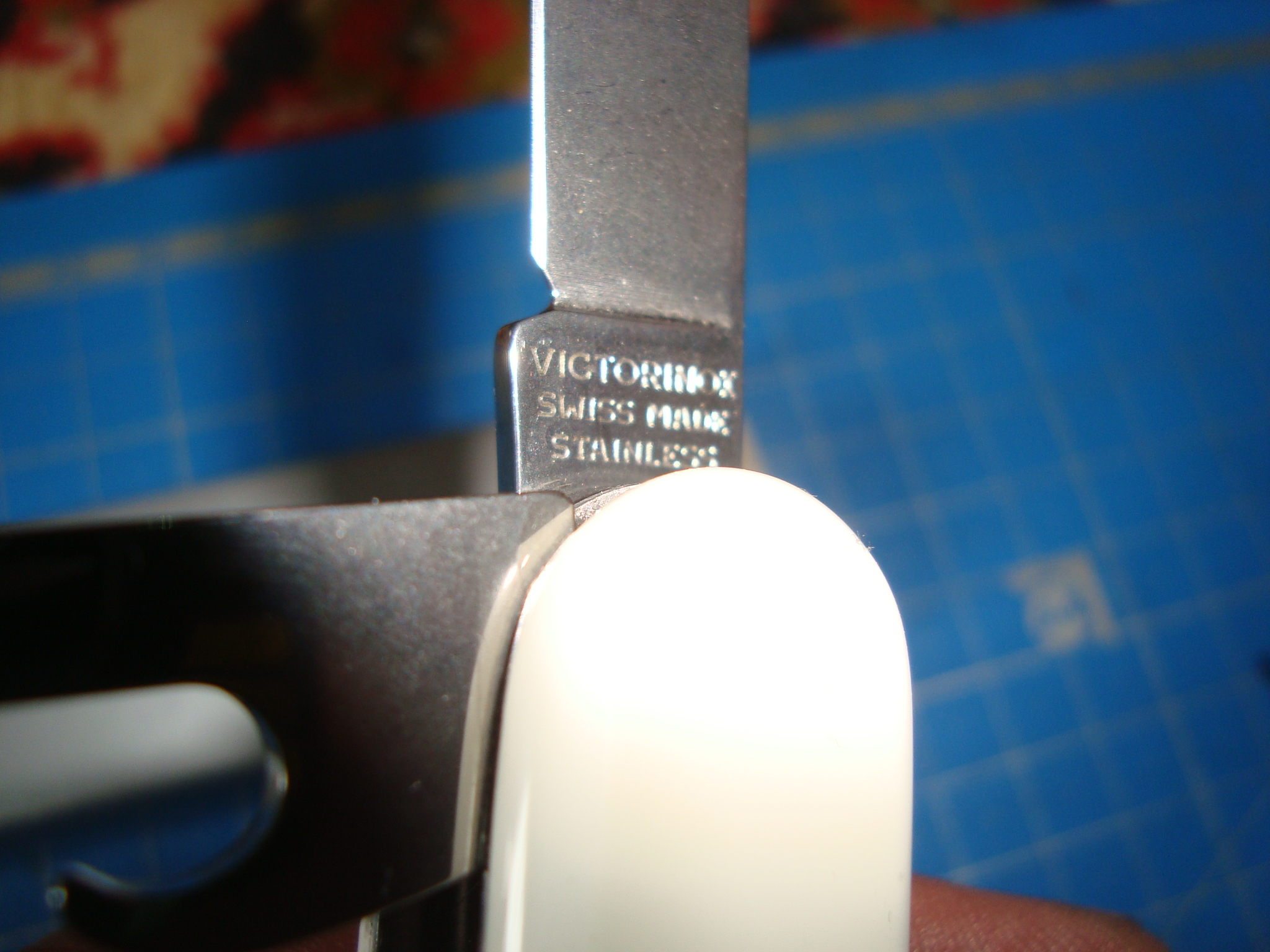 DSC09659 (1).JPG