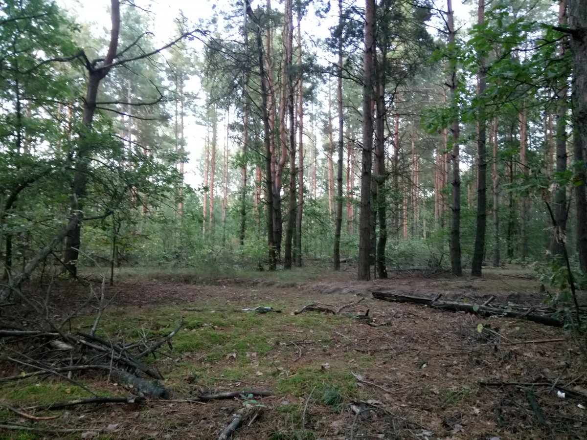 DSC_0005.JPG