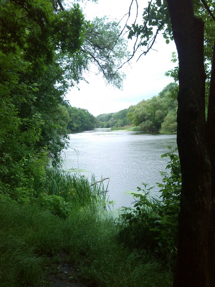 DSC_0011.JPG
