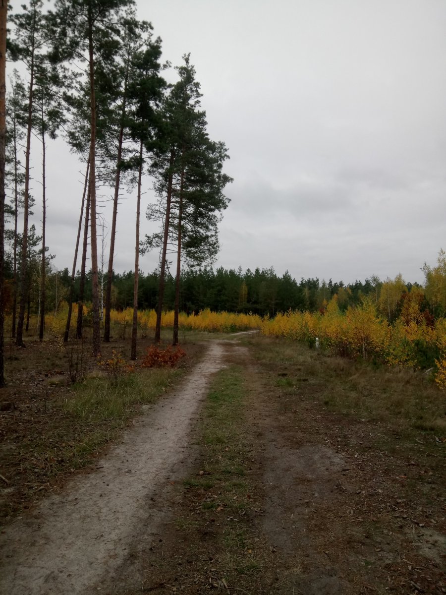 DSC_0015.JPG