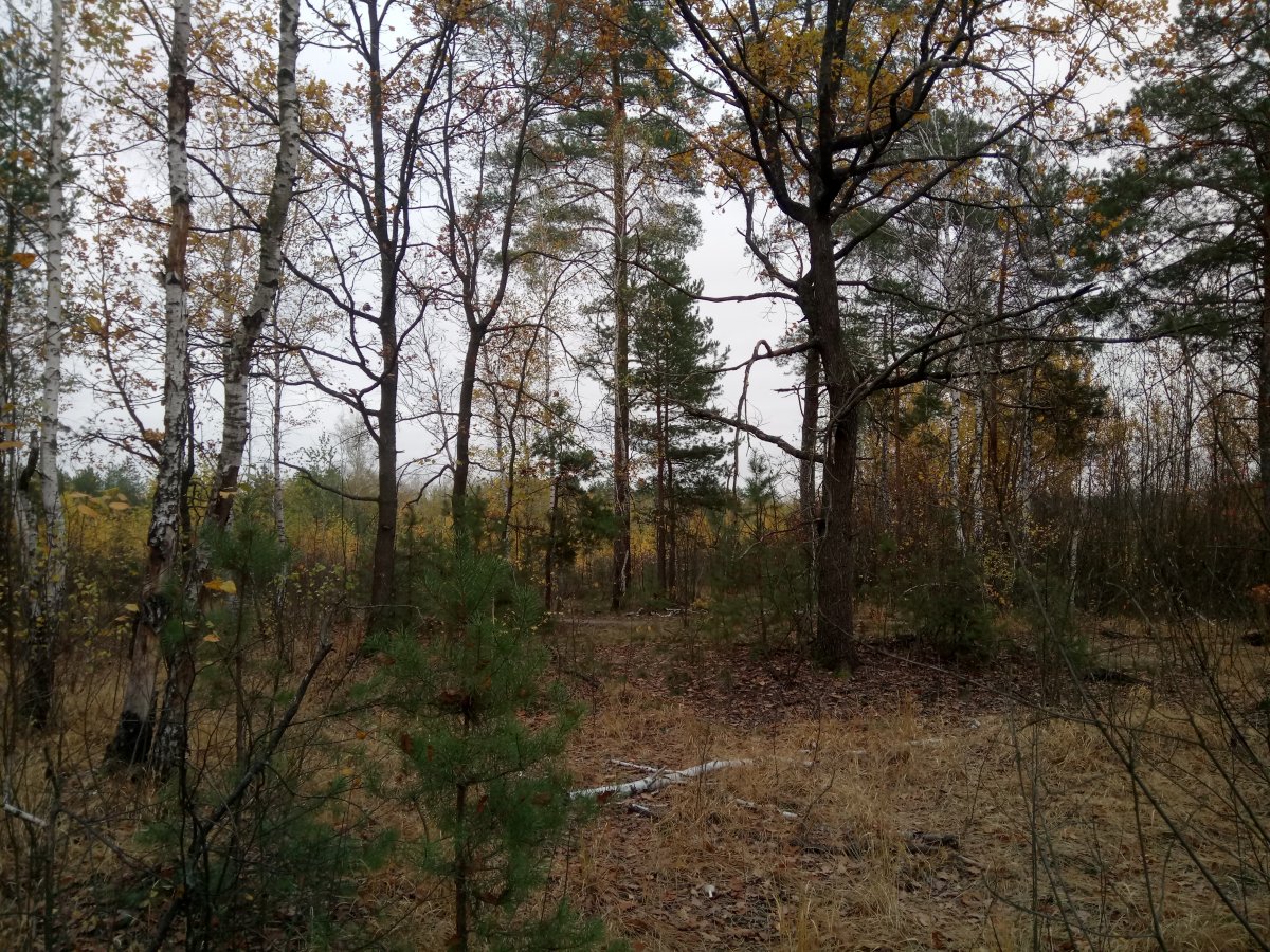 DSC_0017.JPG