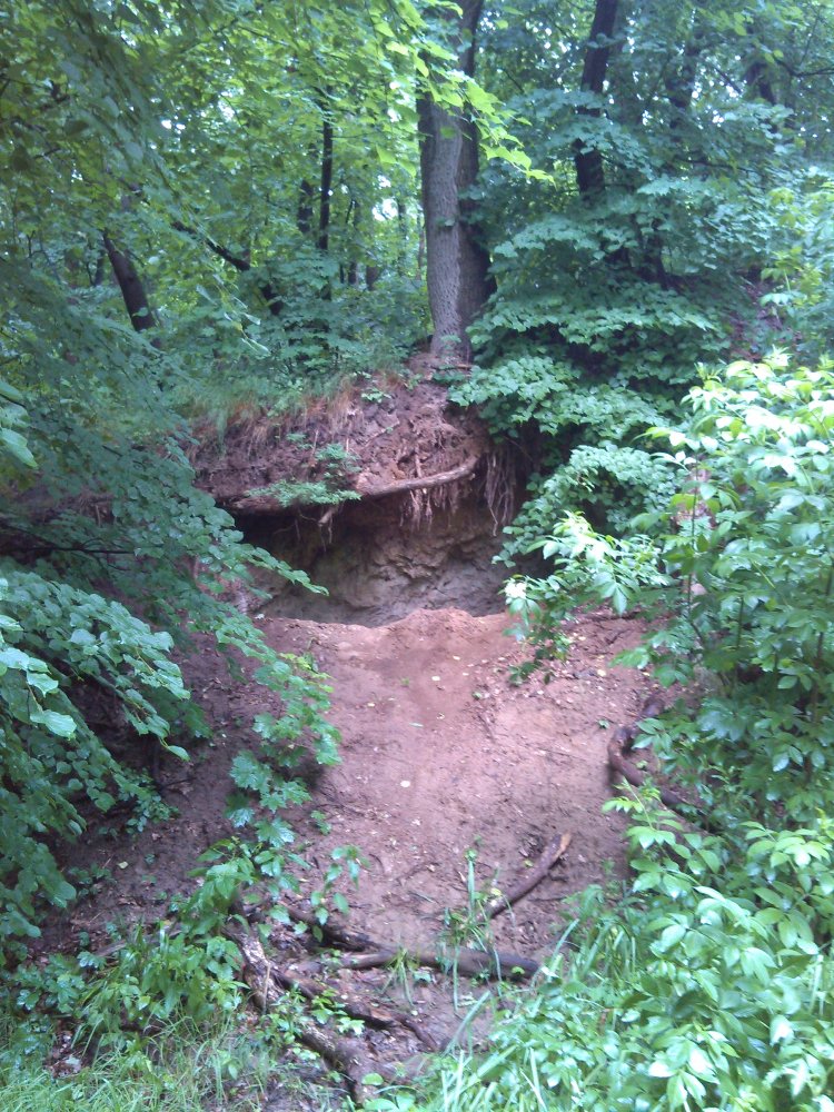 DSC_0018.JPG