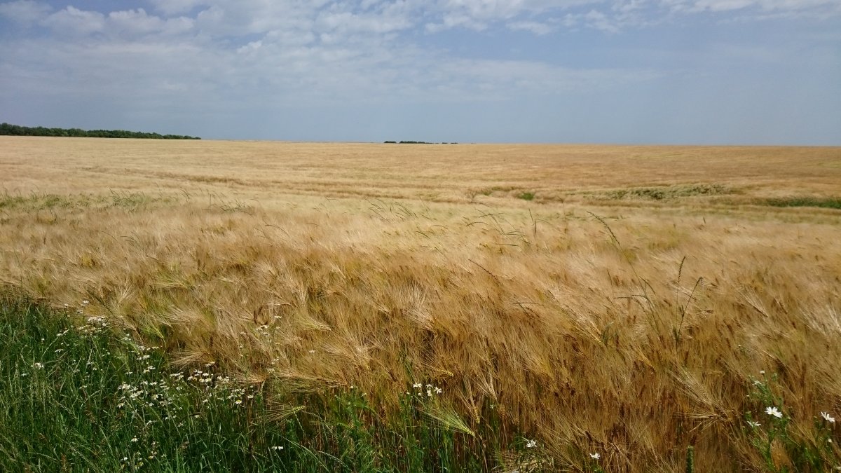 DSC_0019.JPG