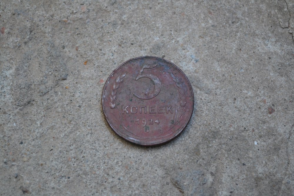 DSC_0020.JPG