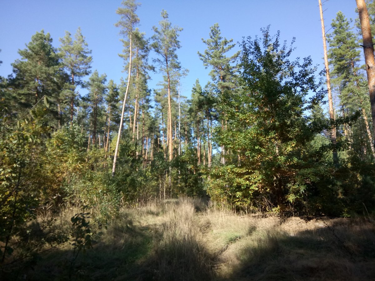 DSC_0024.JPG