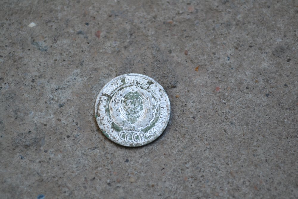 DSC_0024.JPG
