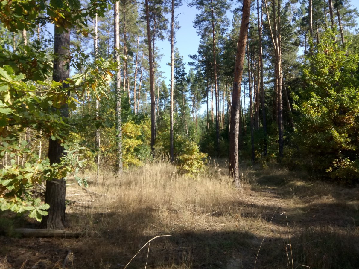 DSC_0026.JPG