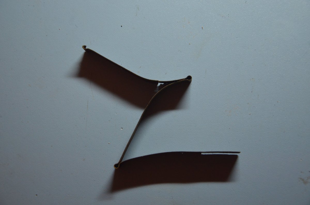 DSC_0030.JPG
