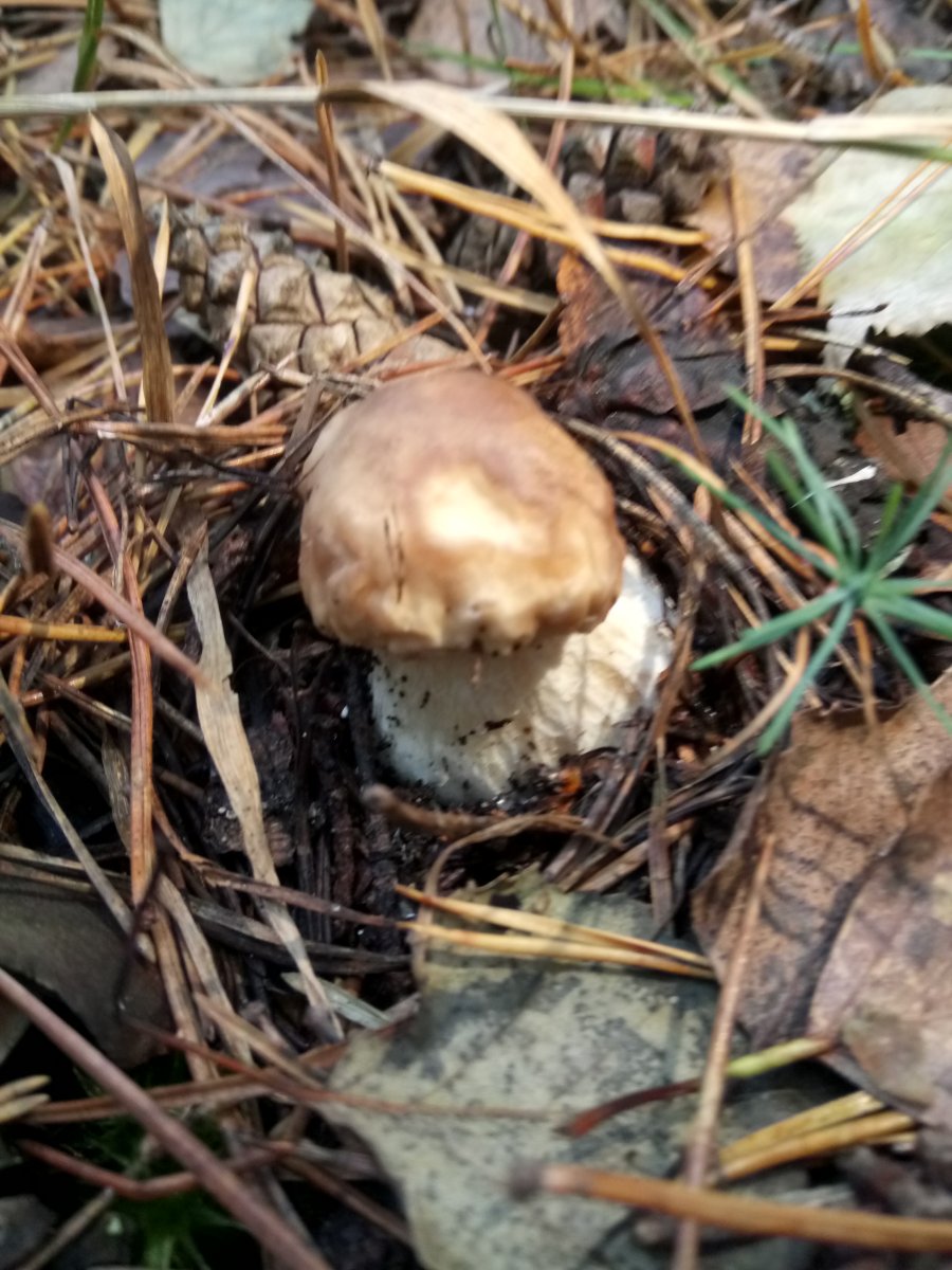 DSC_0050.JPG