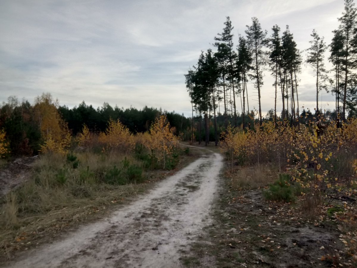 DSC_0064_1.JPG