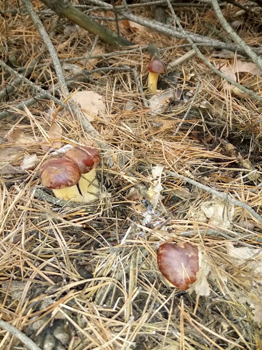 DSC_0067.JPG