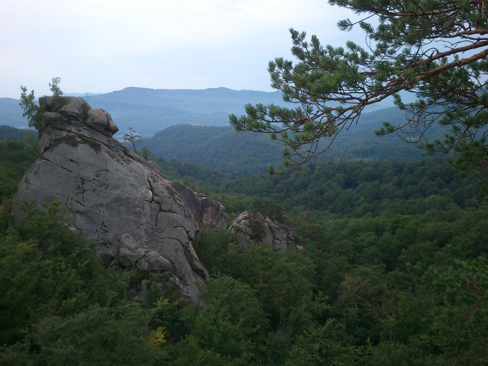 DSC_0076.JPG