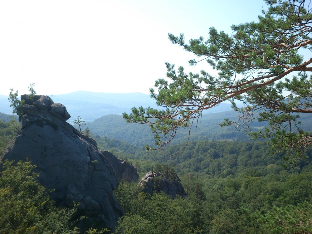 DSC_0104.JPG