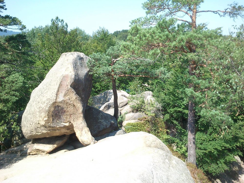 DSC_0112.JPG