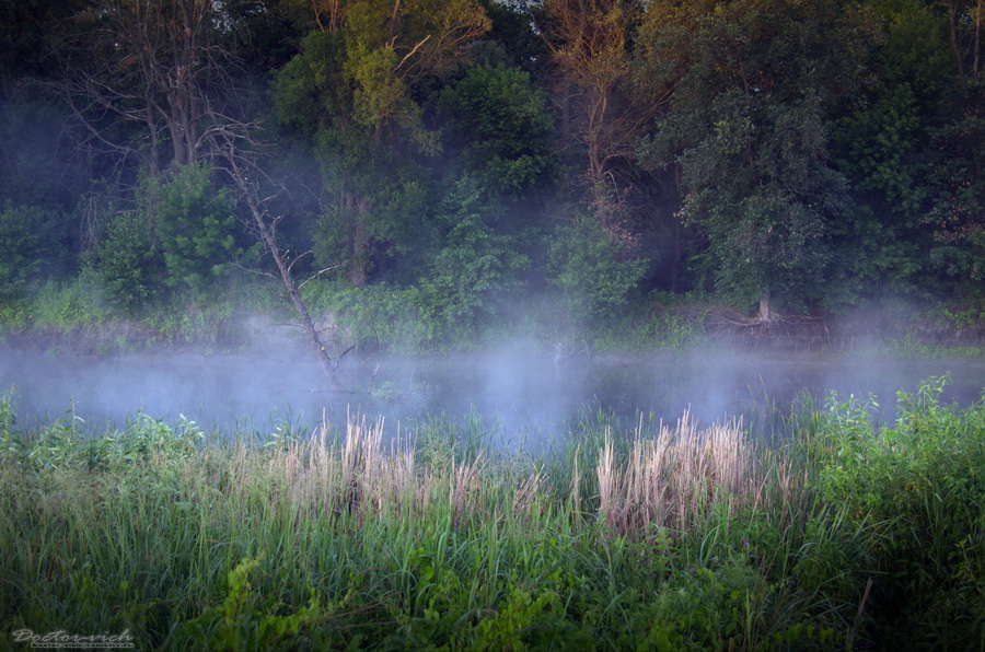 DSC_01421.jpg
